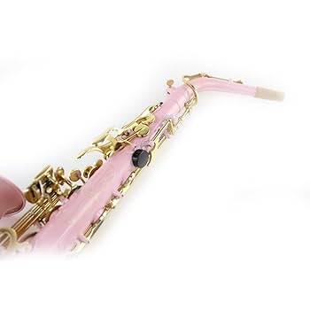 金色 サックス本体 ハードケース付き Amazon | Eb フラットアルトサックス金管楽器紫ラッカーボディ